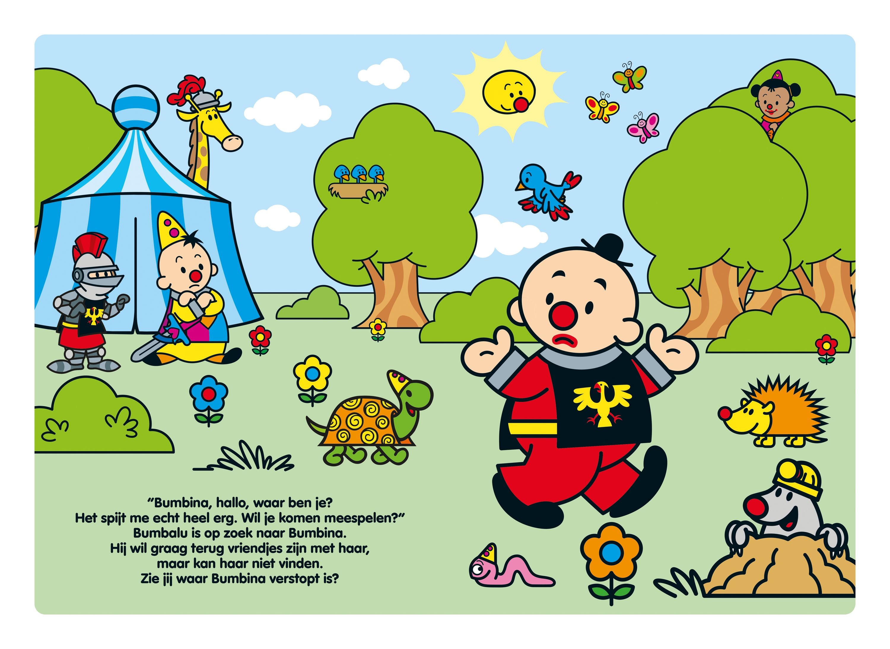 Bumba Kartonboek "Ridder Bumbina"