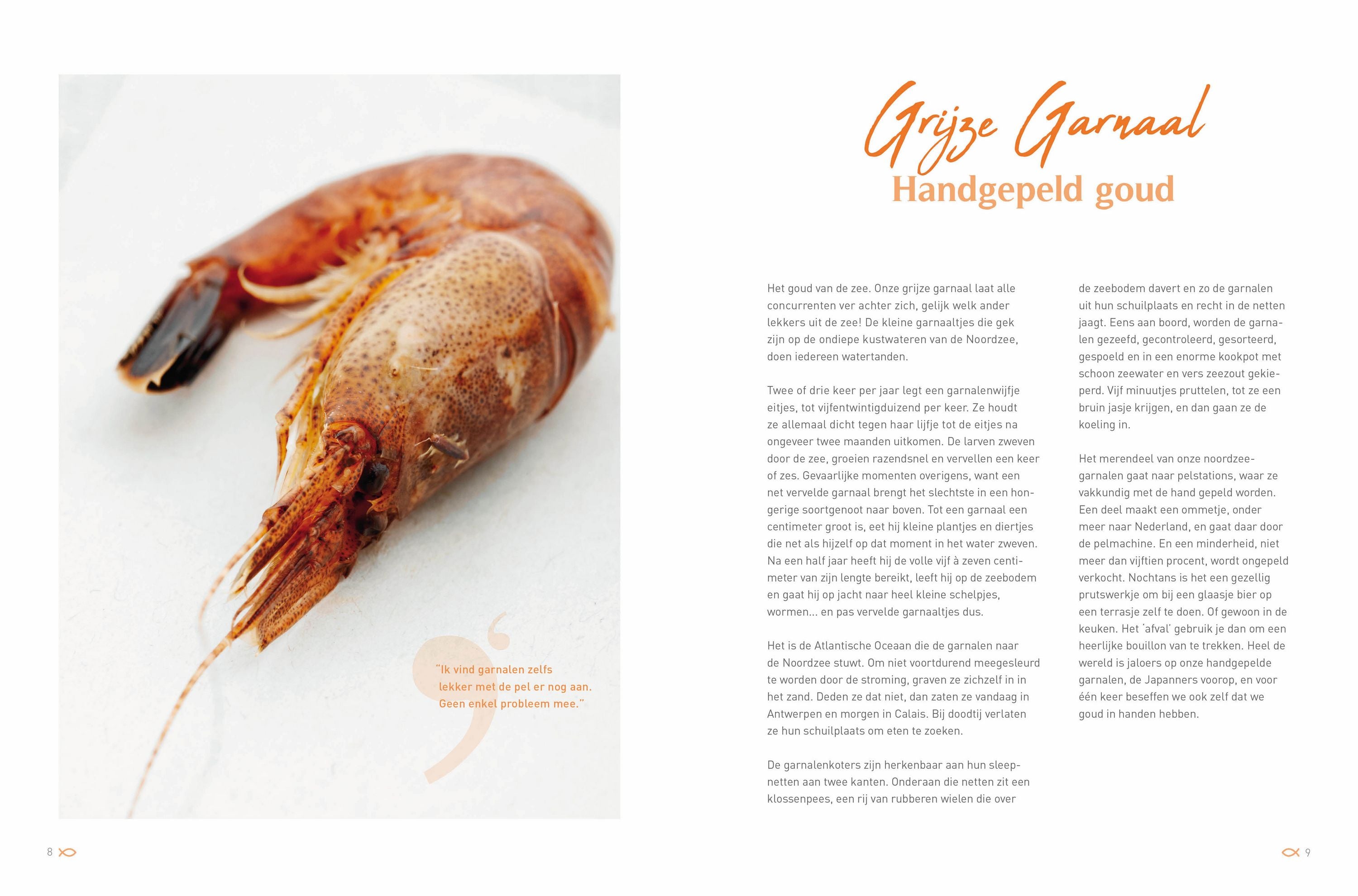 njam! "Tot op de graat" - Johan Segers